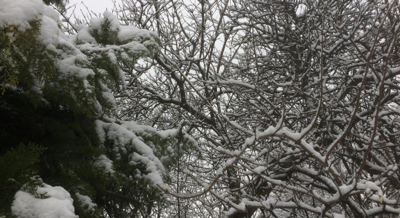 Hol bukkanhatnak fel a NAV revizorai december első napjaiban?