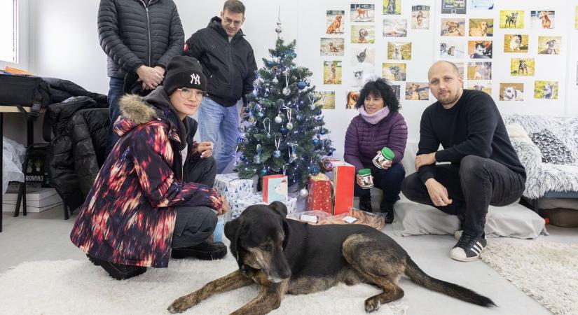 Adventi kalendárium, csokoládé teszt, léleknyugtató balatoni séta, veszprémi győzelem - mutatjuk az elmúlt hét legnépszerűbb galériáit