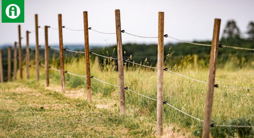 Ez mindenkinek fájni fog? Újabb konfliktusforrás vadgazdálkodók és a termelők között