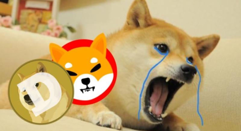 Ez a 0,000667 dolláros kriptovaluta túlszárnyalhatja a DOGE-t és a SHIB-et is!