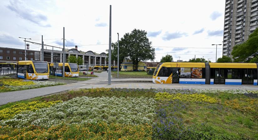 Debrecenben évek óta rosszabb a helyzet, mégis a fővárosi lakhatás miatt aggódik a kormány