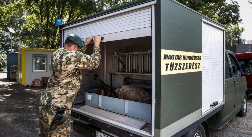 Markolókanálból emeltek ki világháborús aknavetőgránátokat a tűzszerészek