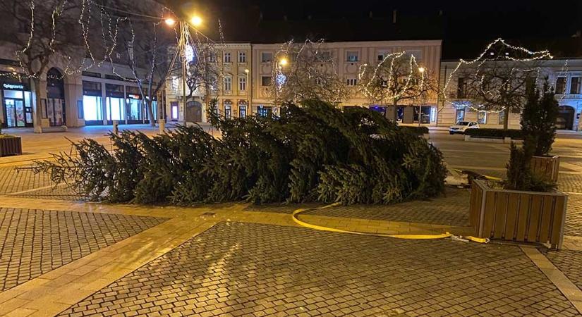 Illés Károly ígérte, hogy feljelentést fog tenni a januárban feldőlt Fő téri karácsonyfa miatt, aztán nem emlékezett, hogy járt-e emiatt a rendőrségen