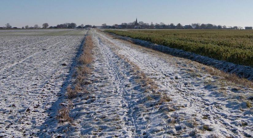 Mit kell tudnunk a vernalizációról, és miért baj, ha elmarad?