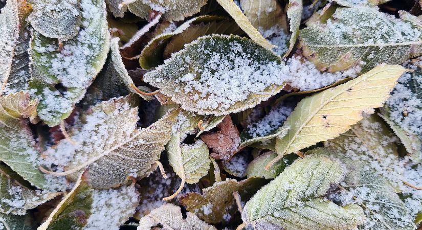 Az évtized leghidegebb novemberén vagyunk túl