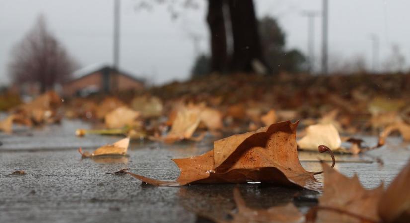 Borult, esős idő várható Bács-Kiskunban