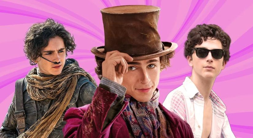 10 dolog, amit biztosan nem tudtál Timothée Chalamet-ről