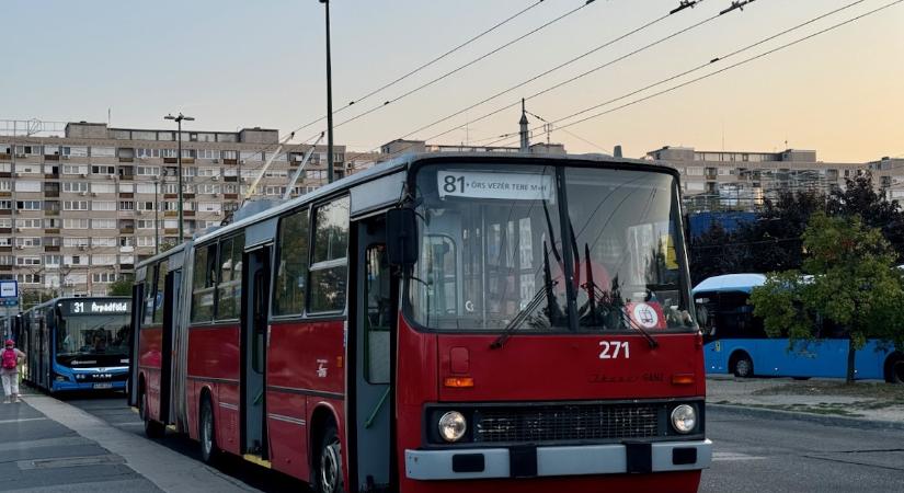 Pár utcával arrébb indul újra a 81-es troli, mint ahol szükség lenne rá