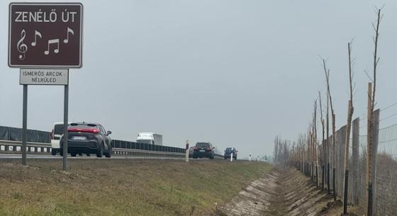 Csenevész facsemetéket ültettek a Nélküledet játszó zenélő út mellé, az ellenzők továbbra is zajvédő falat kérnek