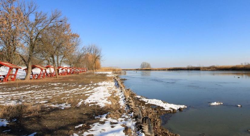 A Tisza-tó halgazdálkodási hasznosítója a MOHOSZ