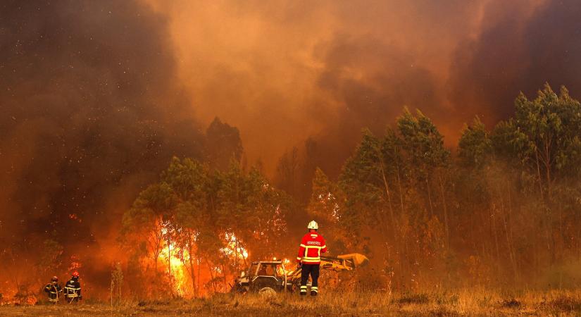 Gigaerdőtűzért felelős portugál gyújtogatót fogtak el