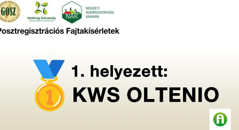 Breaking News! KWS OLTENIO a főpálya győztese!