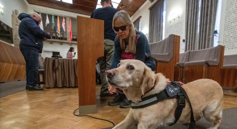 A Városházán fogadták a LÁRKE tagjait (galéria)