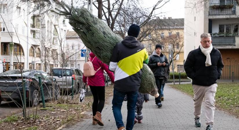 Az ELTE BTK oktatói Hankó Balázsnak: Állítana karácsonyfát a családjának, ha a lucfenyő is a tanársegédi garantált bérének 10-20 százaléka volna?