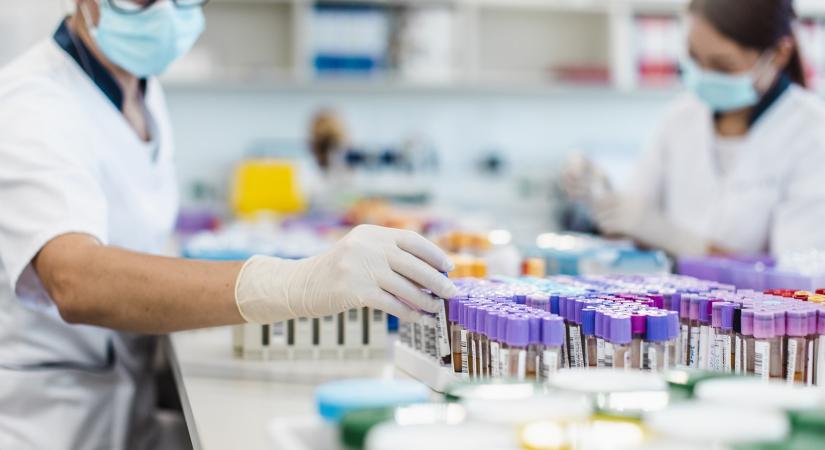 Magyar kutatók fejlesztenek új mRNS-alapú terápiát gerincvelő-sérülések kezelésére