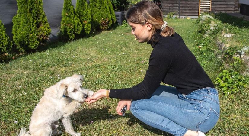 Nagy Bogi cuki videója kínos véget ért