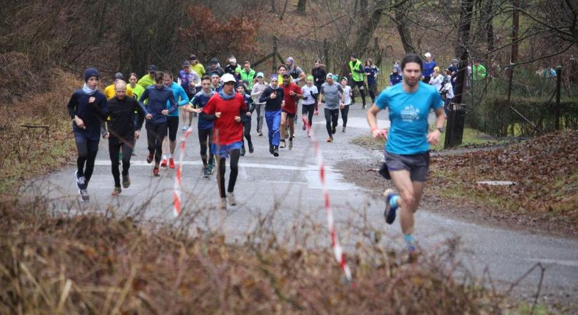 Hétvégi sportműsor: indul a Tárkányi hegyifutó verseny