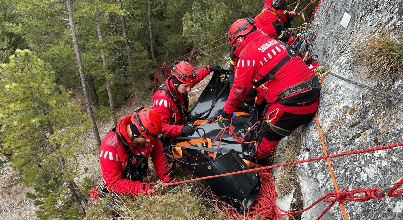 Önkéntesek nélkül nem lennének hatékonyak a hegyimentők