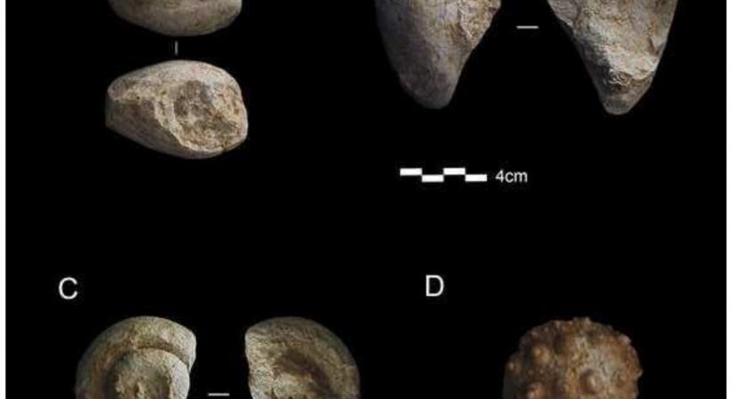 Már a neandervölgyiek is gyűjtötték a fosszíliákat