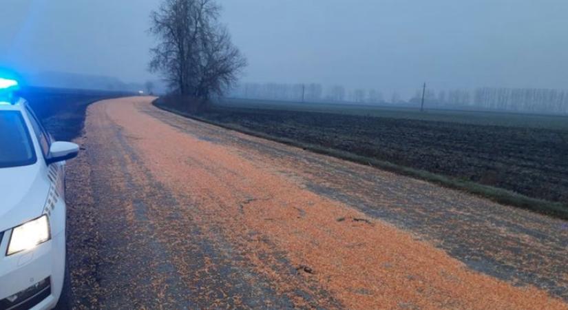 Vigyázzanak! Kukorica borult az útra