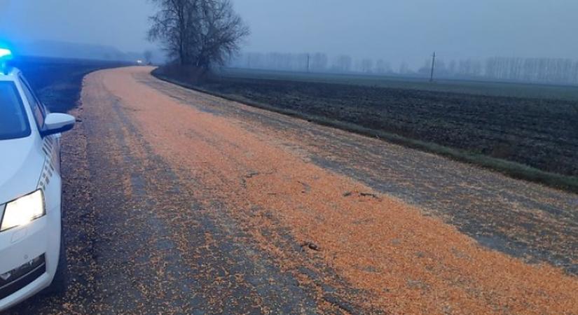 Kiborult a kukorica-rica, hejj! Óvatosan Kaba és Derecske között!