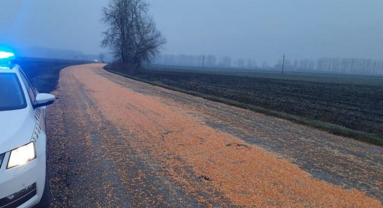 Kukorica hullott az útra Kaba és Derecske között