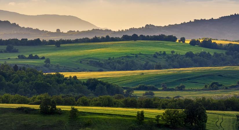 Az Európai Bizottság létrehozza az Európai Mezőgazdasági és Élelmiszerügyi Tanácsot