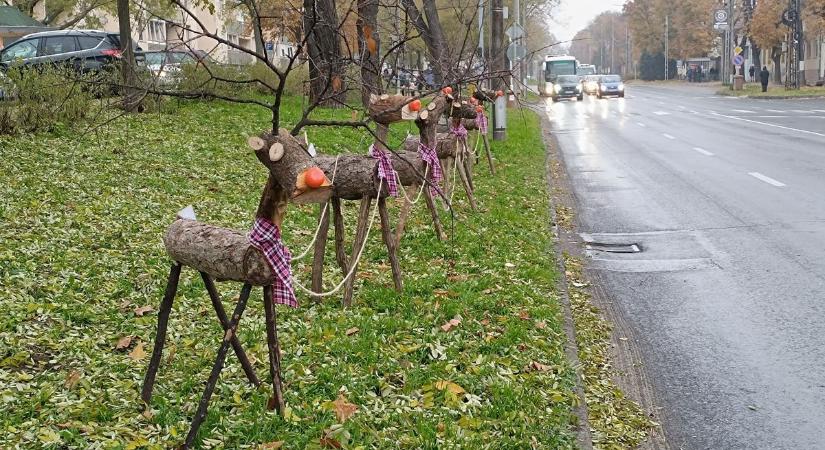 Rénszarvasok lepték el a sokak által lakott városrészt