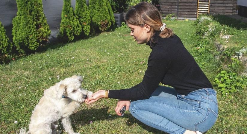 Nagy Bogi ártatlan videója kínos véget ért