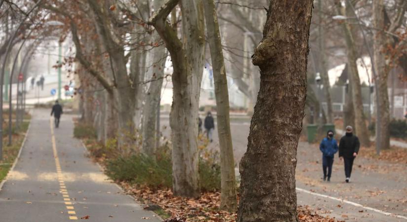 Párás, nyirkos idő várható szombaton – Mutatjuk, mire számíthatsz!