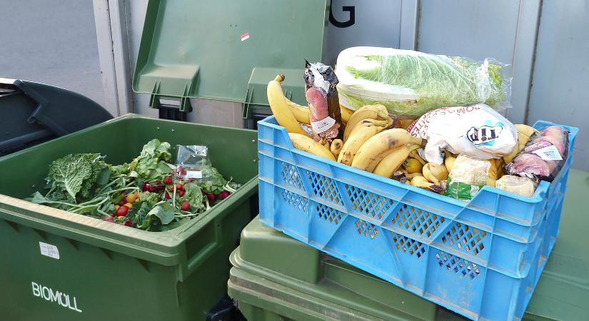 Fenntarthatósági eseményt szervezett a Munch – Az itthoni top brandek egy helyen!