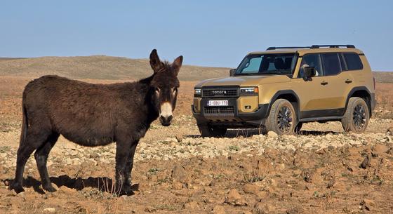 Ide az összes kátyúval! Afrikában kínoztuk meg a vadonatúj Toyota Land Cruisert