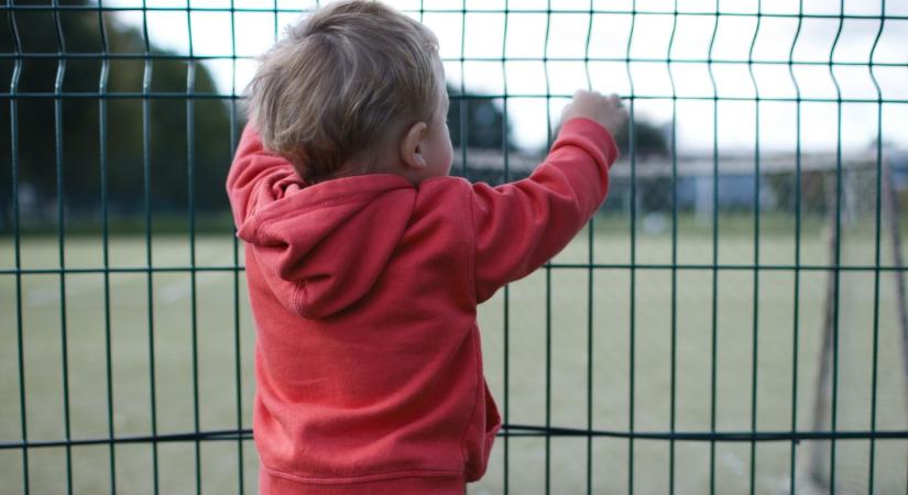 Az óvodának nem kell az iskolára előkészítenie a gyereket – Vekerdy Tamás rovata