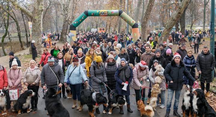 Négylábú mikulások lepték el a Városligetet