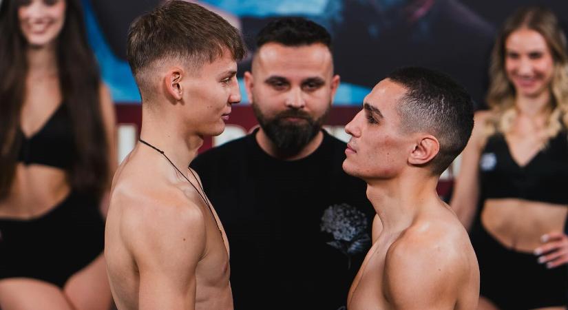 Hell Boxing Kings: Csiki Róbert számára az elődöntőben ért véget a verseny