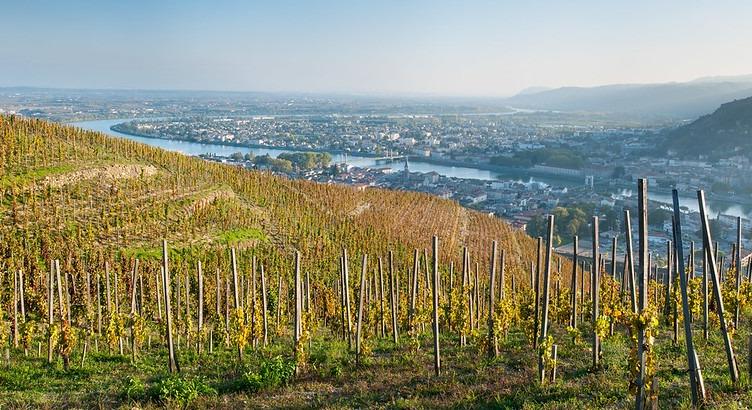 Főleg a bor miatt csökken az alkoholfogyasztás Franciaországban