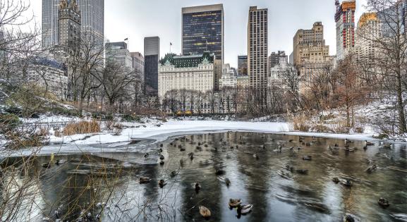 Egekben a New York-i szállodaárak