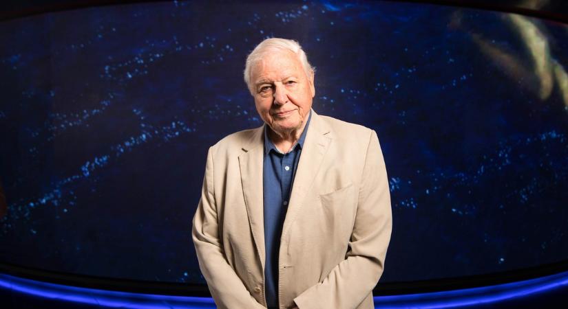 Buliból lett természetfilmes David Attenborough