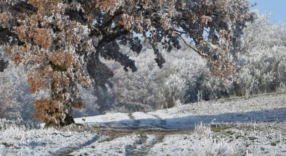 Estétől érkezik a hideg, több helyen havazásba vált az eső