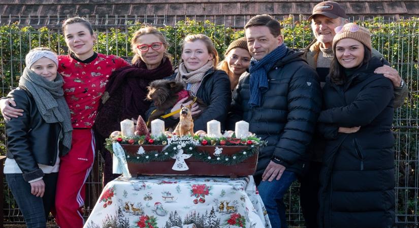 Mennyből a kuckó – A HEROSZ Állatotthon és a Vörösmarty Színház színész-keresztszülők segítségével keres új otthont az elhagyott állatoknak