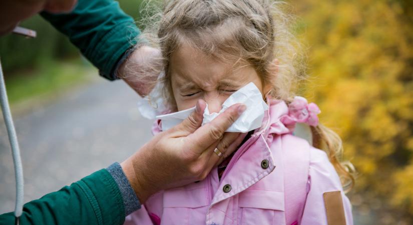 Kiderült az igazság nagyanyáink praktikáiról: tényleg elűzi a megfázást a fokhagyma, C-vitamin?