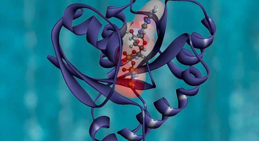 Olyan áttörést értek el magyar kutatók, amely a rákkutatást is forradalmasíthatja