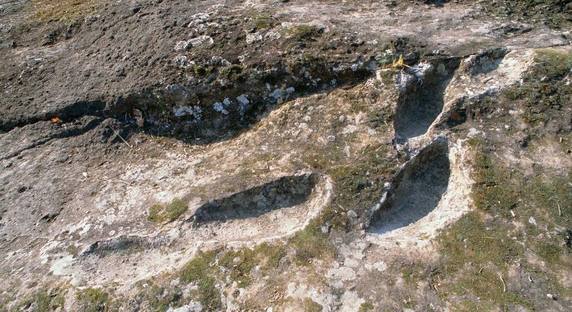 Másfél millió éves lábnyomokat találtak Kenyában, másik emberi fajhoz tartoztak