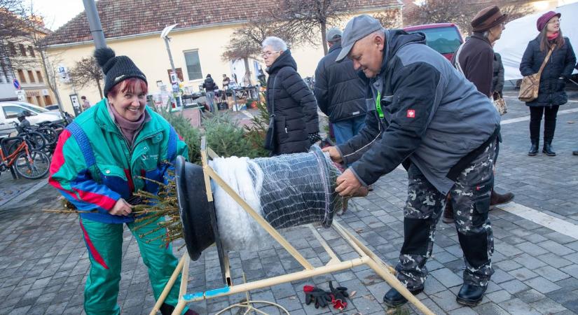 Zalaegerszegen itt kereshetik a fenyőfákat