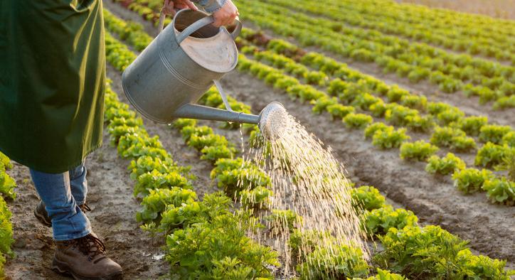 Hatalmas változás jön az agráriumban: ez minden magyar gazdát érinteni fog