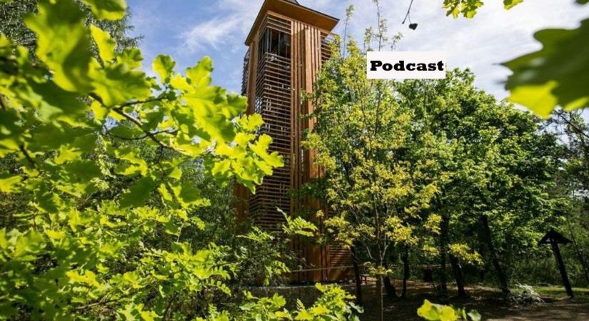 Kiderült, miért zárt be a kecskeméti Arborétum – podcast