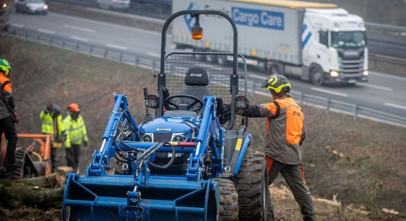 Cserjeirtással folytatódnak az M1-es bővítésének előkészületei