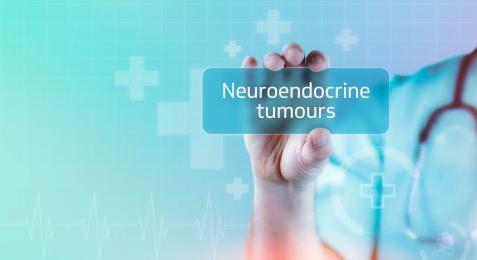 Funcionáló pancreas neuroendokrin tumorok diagnosztikája és kezelése – az Európai Neuroendokrin Tumor Társaság (ENETS) irányelvei mentén