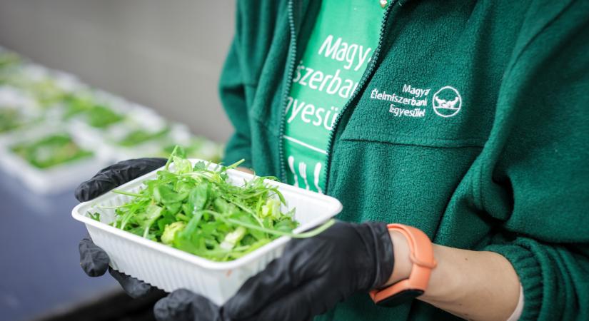 Negyvenezer adag törődés: új szintre lépett az ételmentés Magyarországon