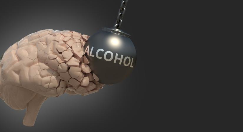 A sok alkohol nem csak a máját vágja tönkre - ezt teszi az agyával